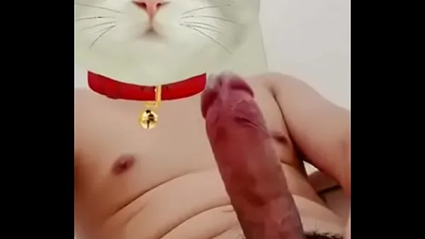 Nieuwe The lewd cat topclips